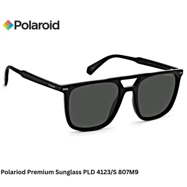 Polaroid Premium Sunglass PLD 4123/S 807M9