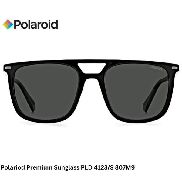 Polaroid Premium Sunglass PLD 4123/S 807M9