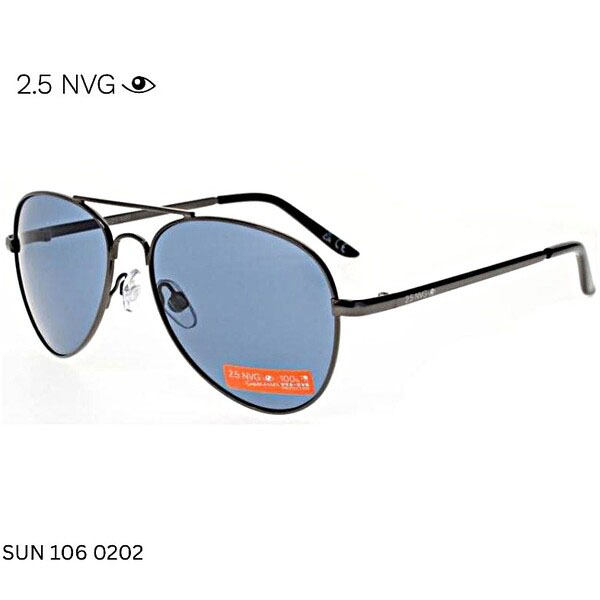 SUN 106 0202 aviator sunglasses with sleek black frame