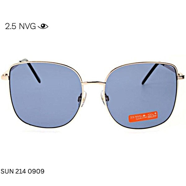 2.5 NVG SUN 214 0909 gold frame sunglasses with blue lenses