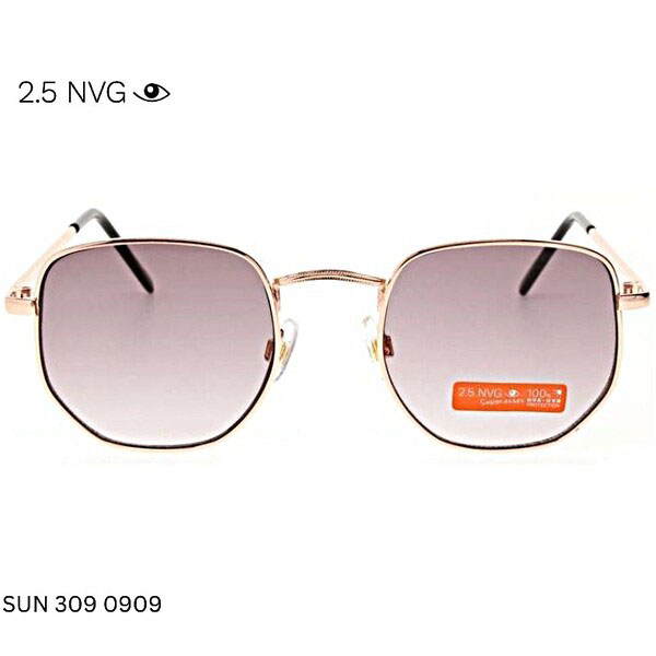 Elegant 2.5 NVG SUN 309 0909 sunglasses with thin metallic frame and gradient lenses offering UV protection.